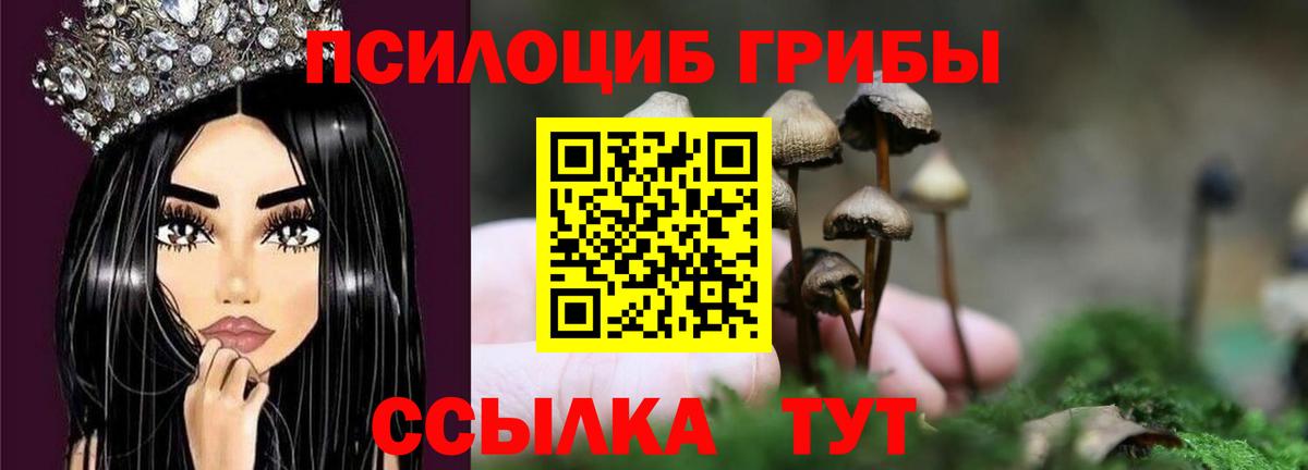 купить  сайты  Псилоцибиновые грибы ЛСД  Владимир  Вход с VPN  Галлюциногенные грибы Cubensis 