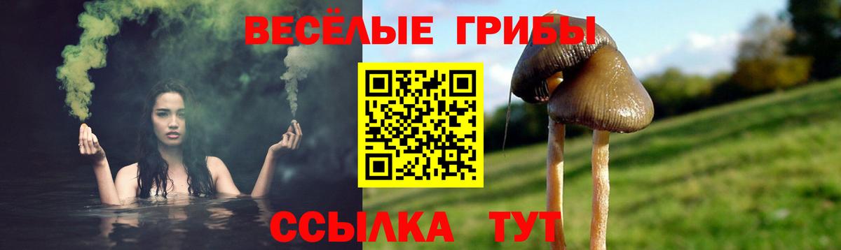 Псилоцибиновые грибы Magic Shrooms Владимир